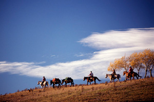 Horseback Vacation Package