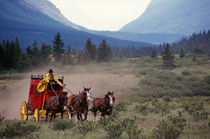 Horseback Vacation Package